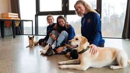 Die FCZ Frauen laufen am Derby im Letzigrund mit Hunden ein